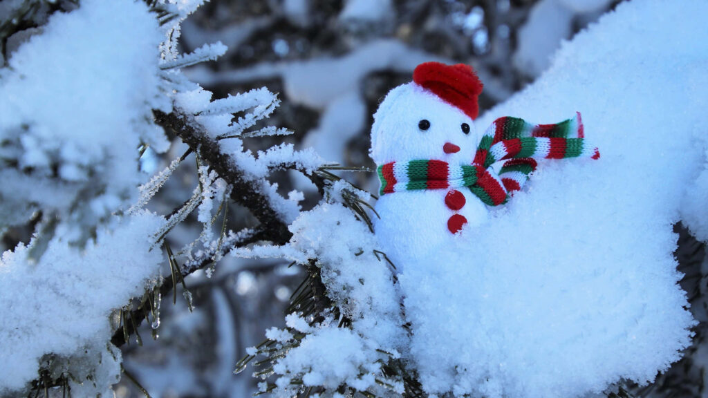 Charming Winter Scene: Snowman on Snowy Branch in Cozy Holiday Setting Wallpaper