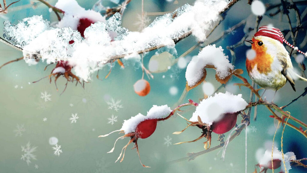 Charming Winter Bird on Snowy Branch: Cozy Christmas Scene Wallpaper
