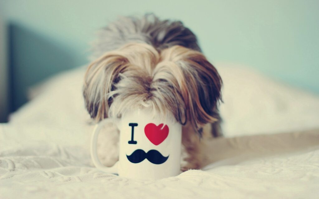 “Adorable Yorkshire Terrier in a Fun Cup – Cozy Wallpaper Design”
