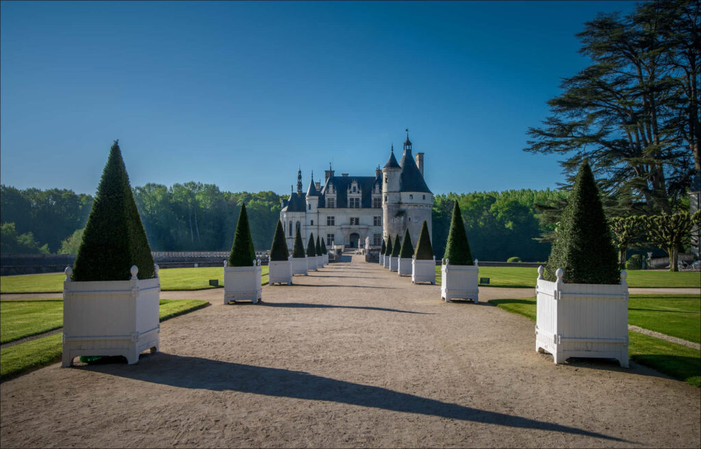 Château de Chenonceau with topiary cones and sunlit pathway under clear blue sky wallpaper