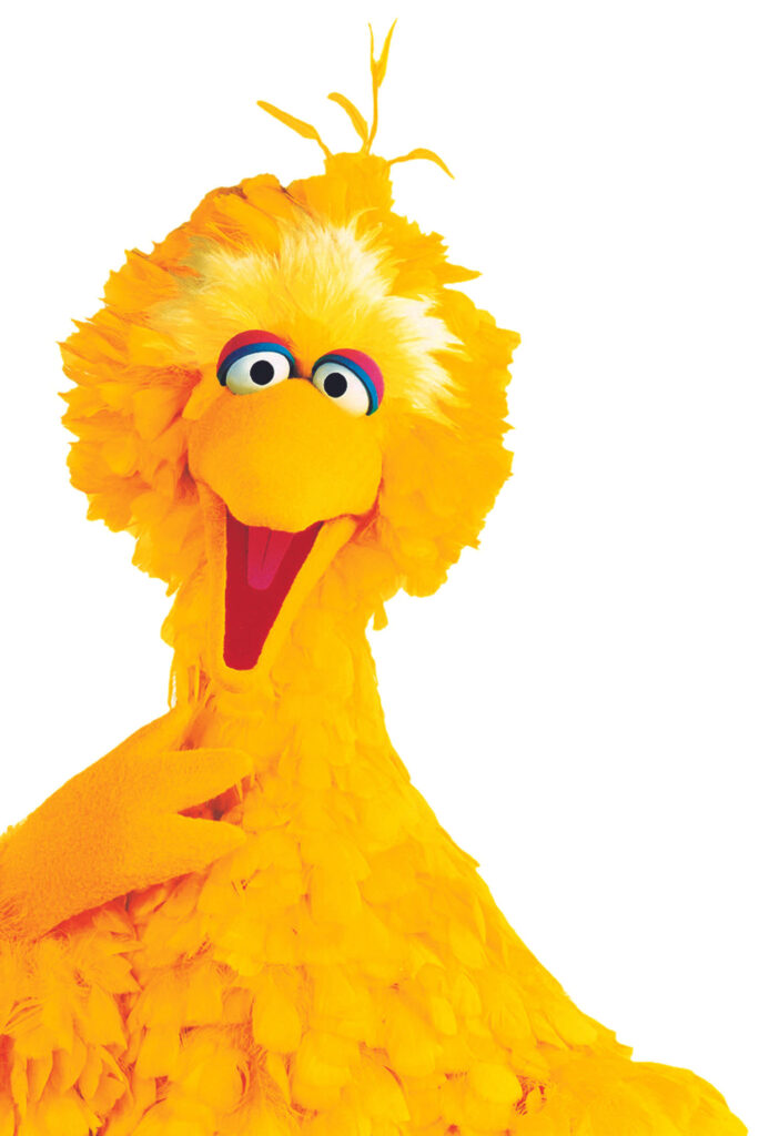 Big Bird smiling warmly on white background cheerful friendly wallpaper image