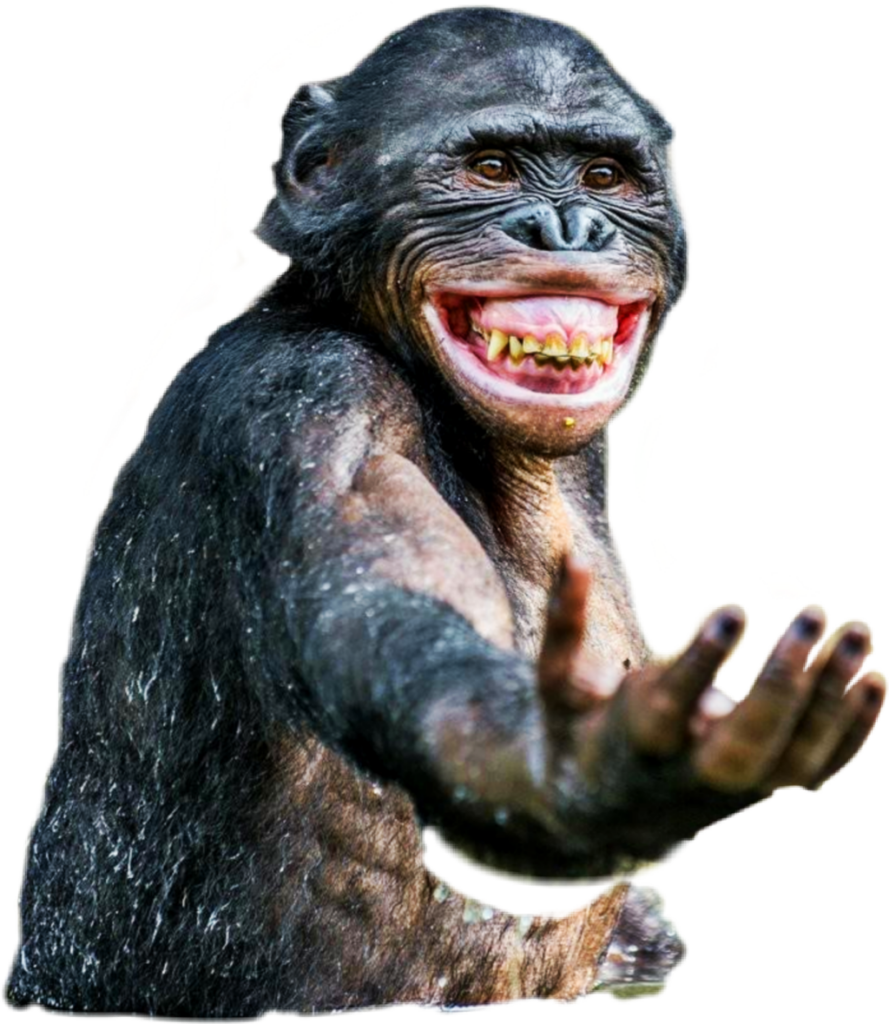 Cheerful Chimpanzee Wallpaper: Playful Background with Smile
