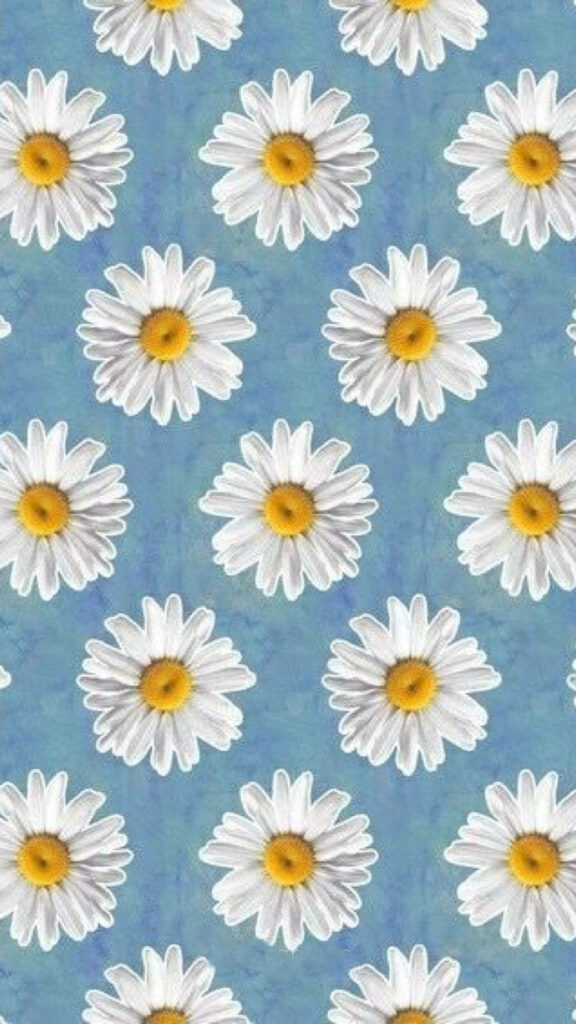 Cheerful Baby Blue Daisy Wallpaper for a Fresh Phone Aesthetic