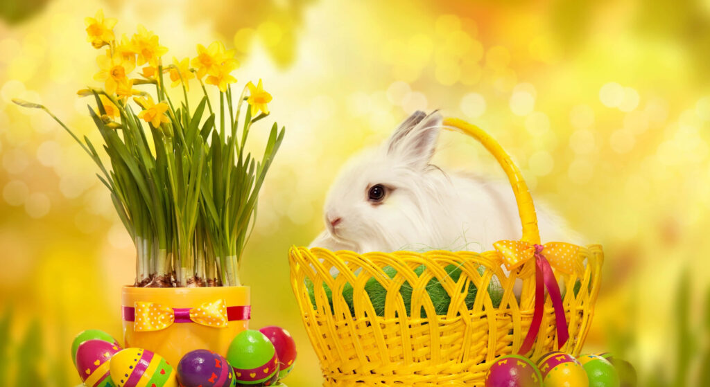 Cheerful Easter Wallpaper: White Rabbit, Eggs & Yellow Flowers