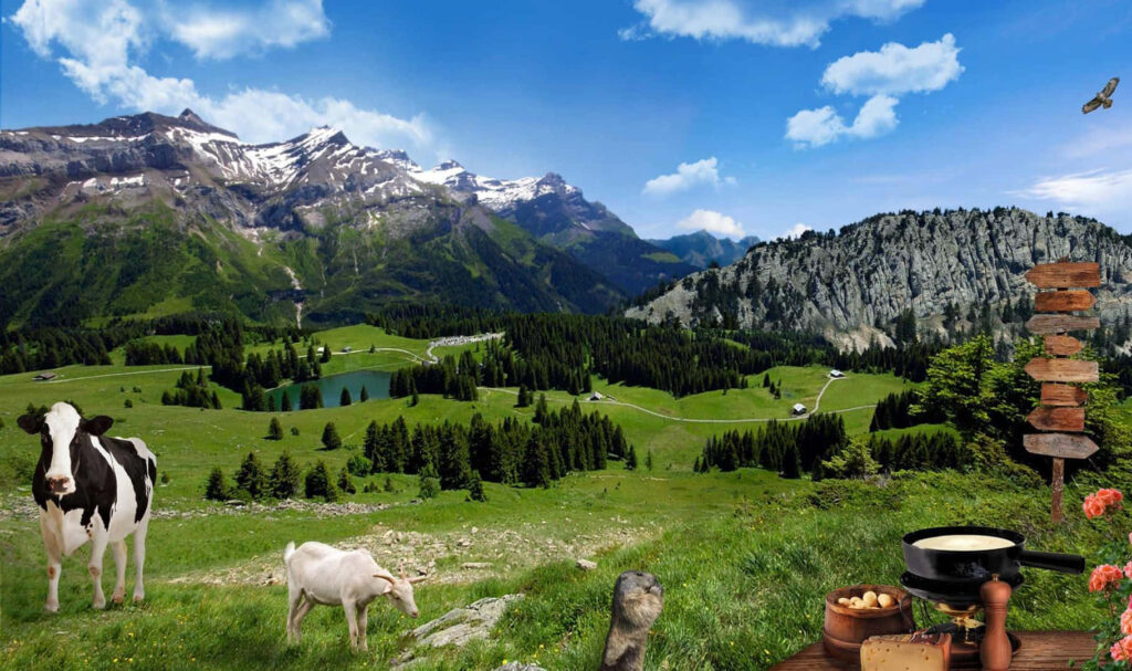 Cheerful Farm Animals Picnic in Sunny Countryside Wallpaper