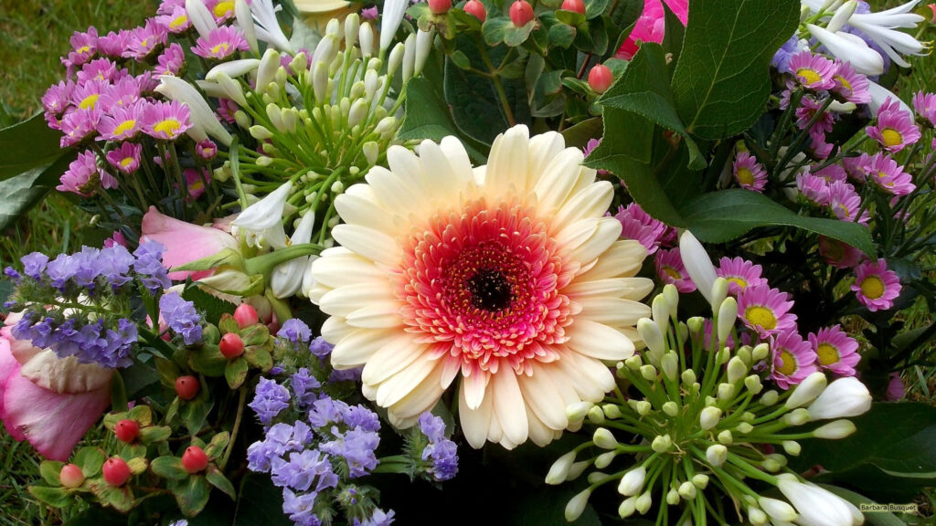Cheerful Flower Wallpaper: Vibrant Daisies & Colorful Blooms Background