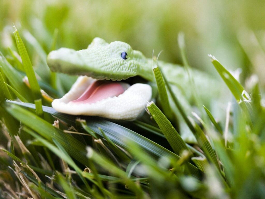 Smiling Green Toy Crocodile on Lush Grass - Cute Wallpaper Background