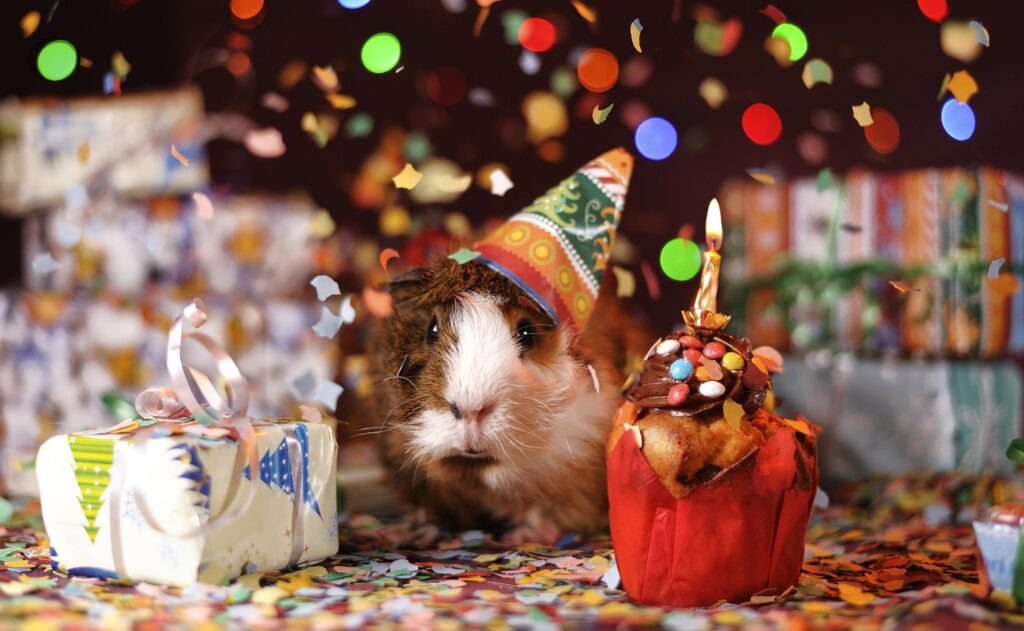 Vibrant Guinea Pig Party Wallpaper with Colorful Confetti