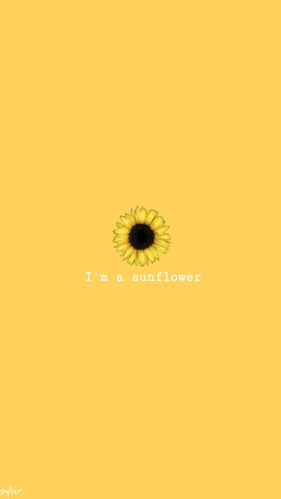 Minimalist Sunflower Wallpaper: Cheerful Yellow Aesthetic Design