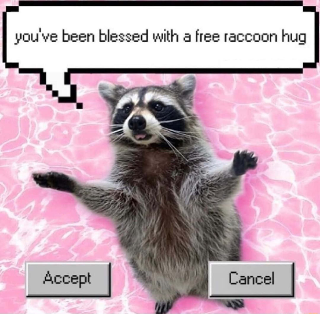 Charming Raccoon Hug Wallpaper: Cheerful Pink Aesthetic Design