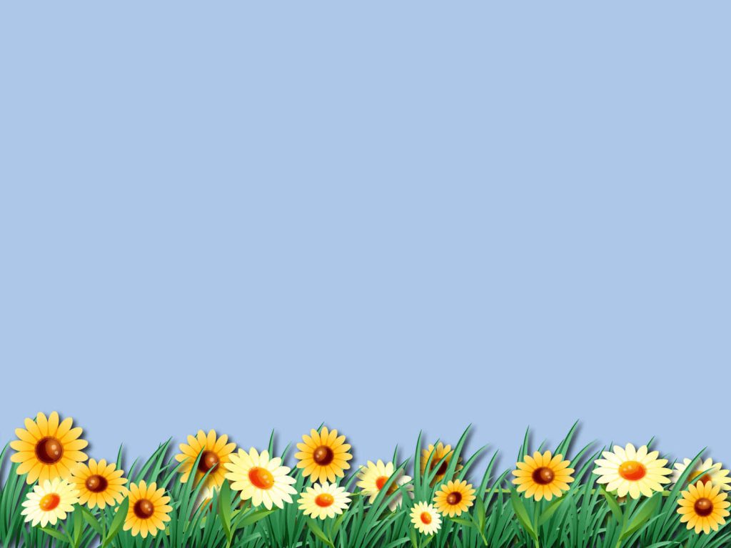 Spring digital wallpaper with yellow daisies border green grass on soft blue background bright design