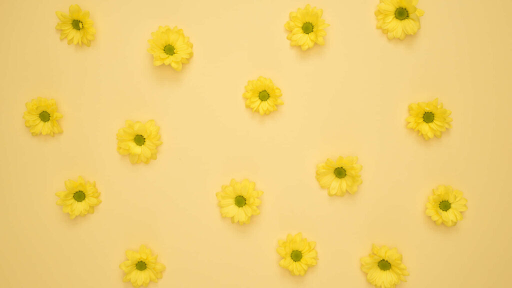 Cheerful Yellow Floral Wallpaper for a Vibrant Desktop Background
