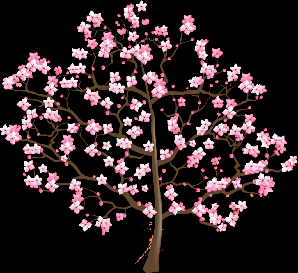 Delicate Cherry Blossom Tree Illustration on Transparent Background Wallpaper