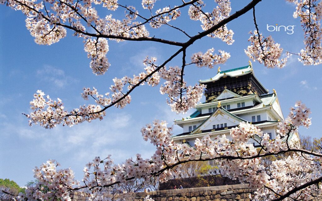 Cherry blossoms bloom around Japanese palace showcasing traditional architecture spring scenery Wallpaper