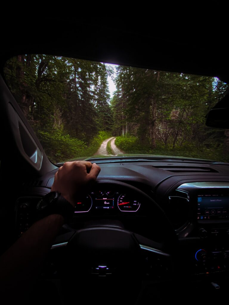 Chevrolet Interior: Hand on Wheel with Forest Adventure Background Wallpaper