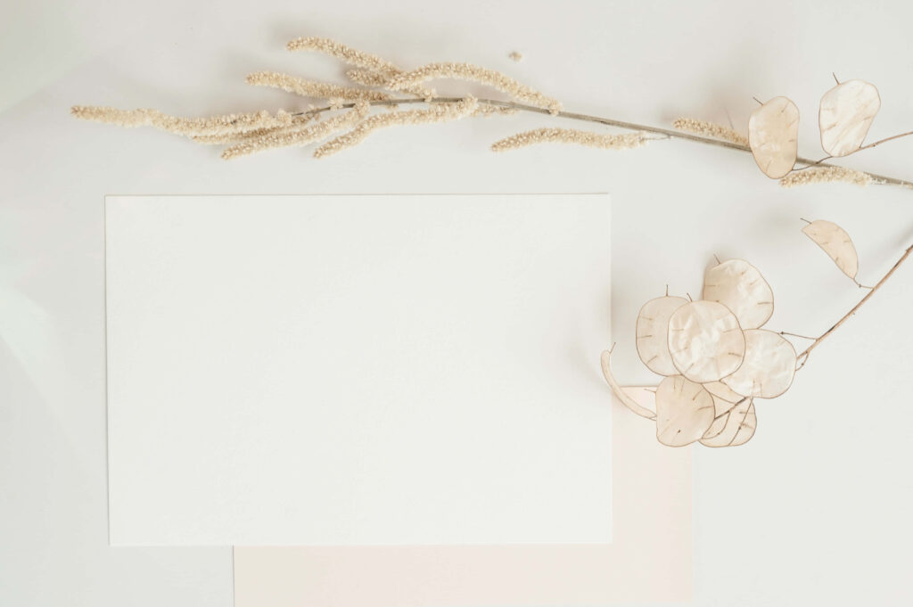 Serene Elegance: Dried Floral Ornaments on a Blank White Paper Background Wallpaper