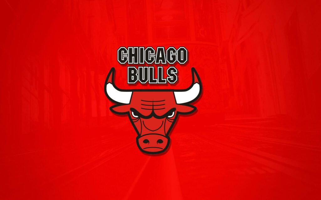 Chicago Bulls logo on deep red background basketball team wallpaper tribute design