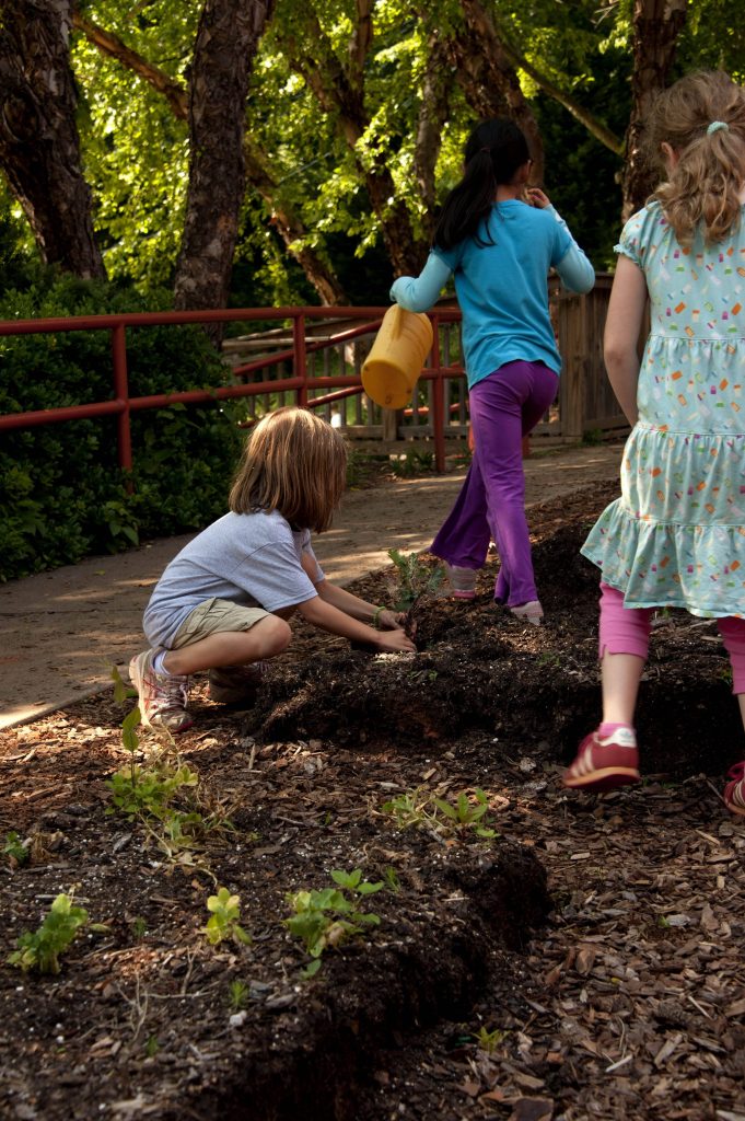 Children gardening outdoors sunlit scene with watering can mulch trees red railing background Wallpaper