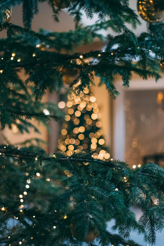 Festive Tree Enchantment: Embracing the Radiance of the Holiday Season Wallpaper