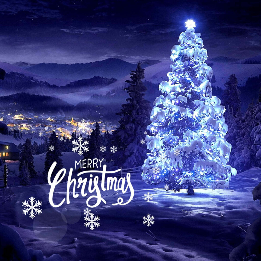 Serene Christmas Tree Wallpaper: Festive Snowy Landscape & Lights