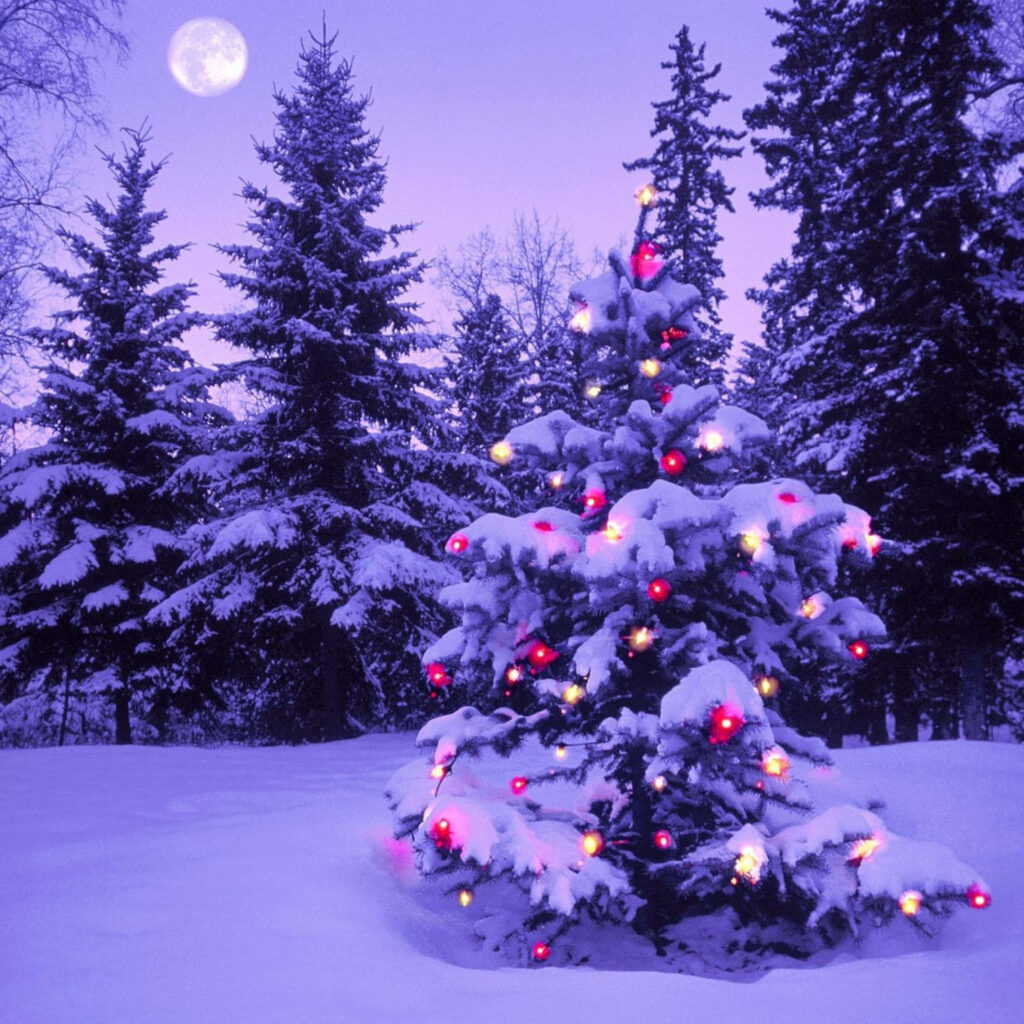 Serene Christmas Tree Wallpaper: Festive Snowy Scene for iPad