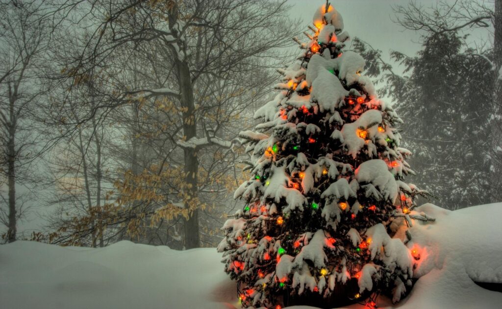 Serene Winter Landscape Wallpaper: Colorful Christmas Tree & Snow