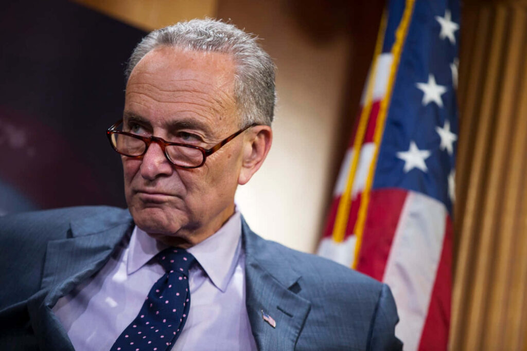 Chuck Schumer in navy suit with polka dot tie against American flag political wallpaper background
