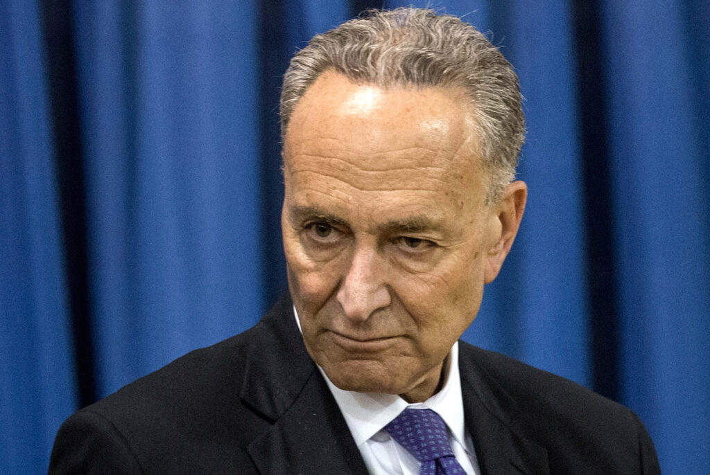 Chuck Schumer portrait wallpaper US senator deep blue curtains focused formal attire leadership