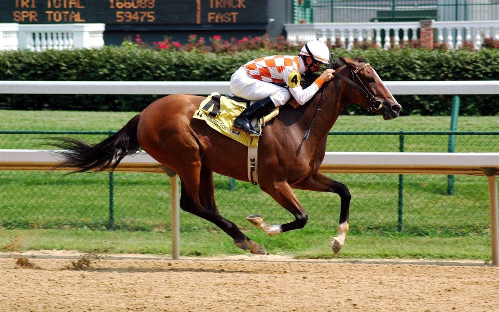 Jockey in checkered silks racing a powerful horse at Churchill Downs on a sunny day wallpaper