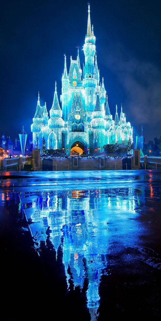 Cinderella Castle at Disney World glowing with blue Christmas lights and reflecting on wet pavement Wallpaper