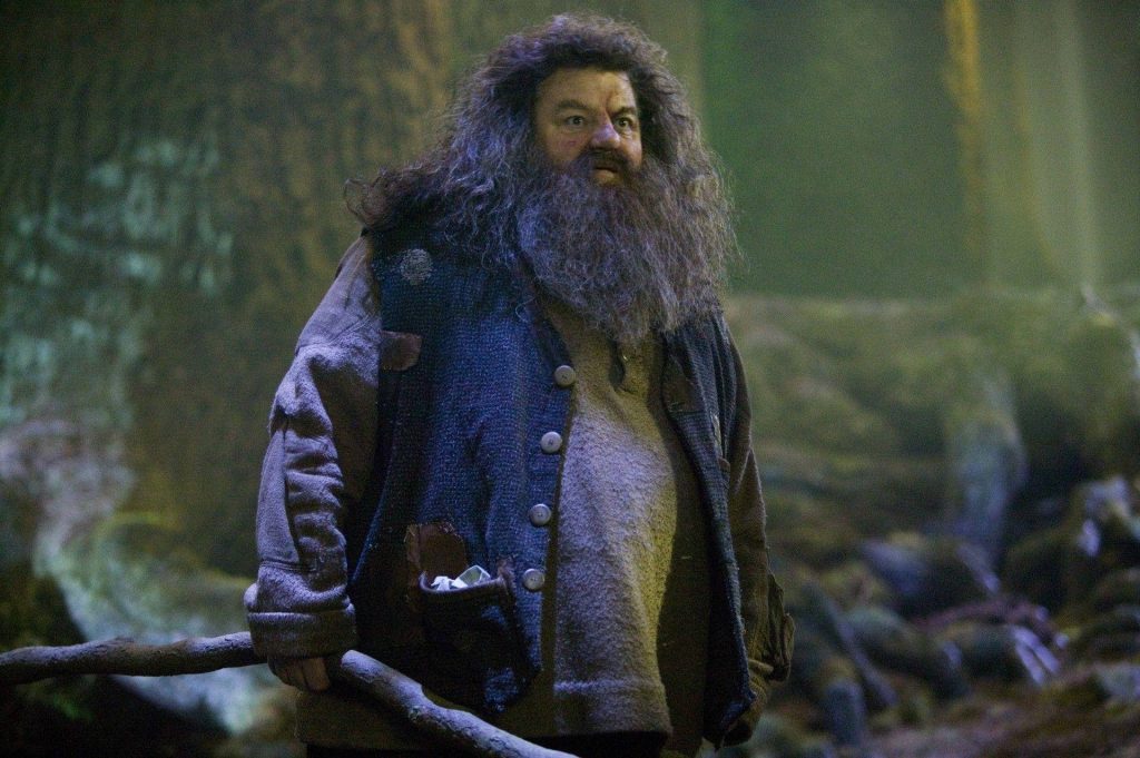 Cinematic Rubeus Hagrid wallpaper in dark Forbidden Forest Harry Potter half-giant background