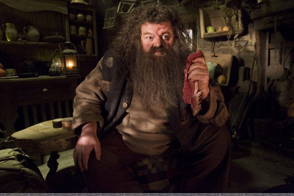 Rubeus Hagrid holding raw meat to eye in rustic hut cinematic Harry Potter wallpaper background