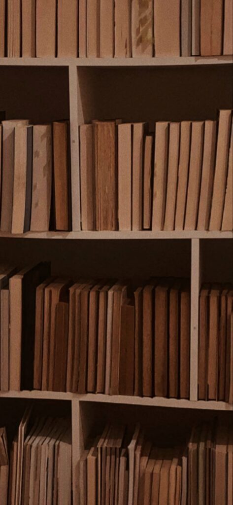 Neatly arranged bookshelf with classic books creating a warm timeless atmosphere wallpaper background
