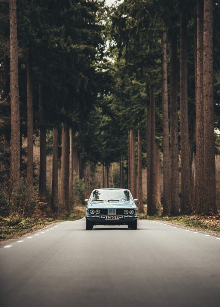 Classic Car on Serene Tree-Lined Road - Elegant Nature Wallpaper