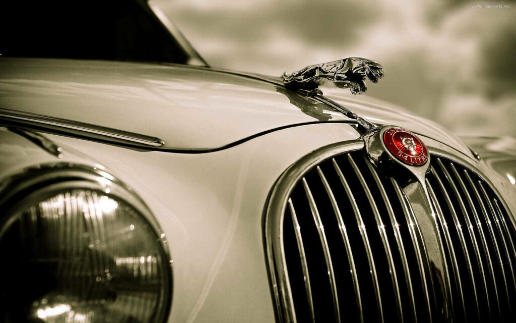 Classic Jaguar Close-Up Wallpaper: Vintage Design in Greyscale