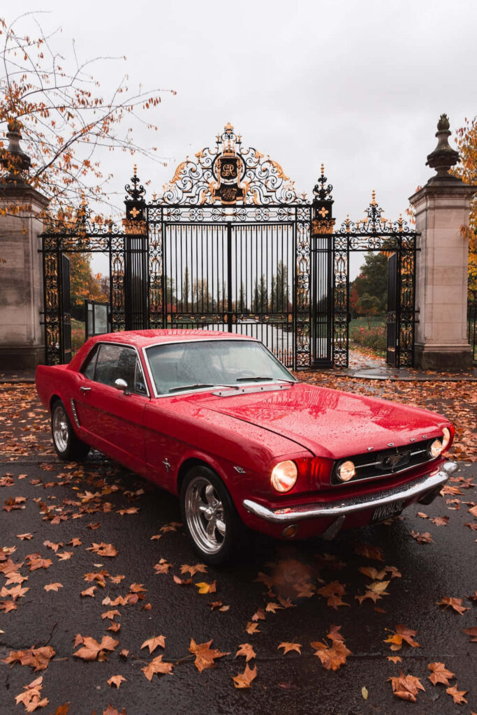 Classic red first-generation Ford Mustang parked on rainy autumn day with fallen leaves and gates Wallpaper