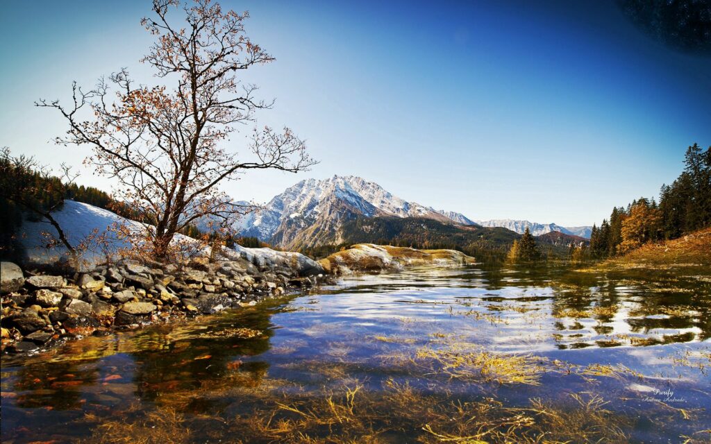 Clear lake reflecting blue sky snowy mountains bare tree rocky shore fresh spring vegetation Wallpaper