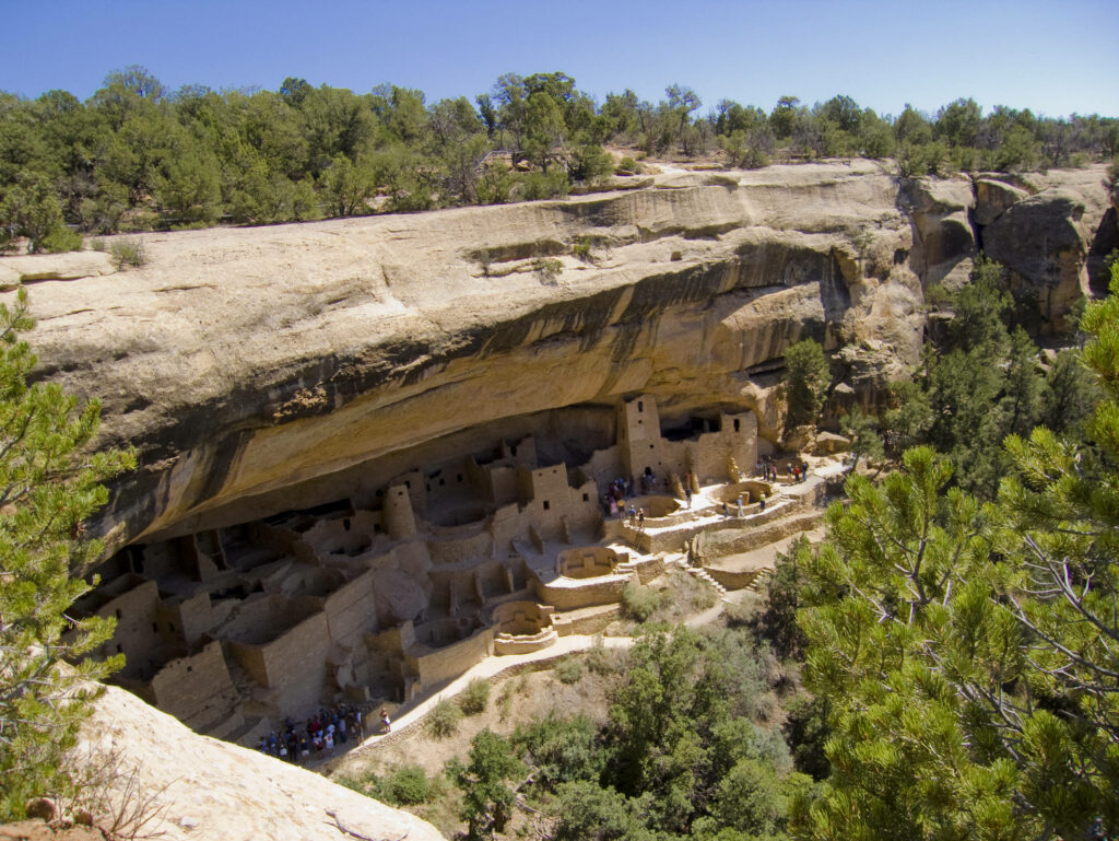 Ancient Cliff Palace stone structures built into Colorado cliff with lush greenery and blue sky Wallpaper