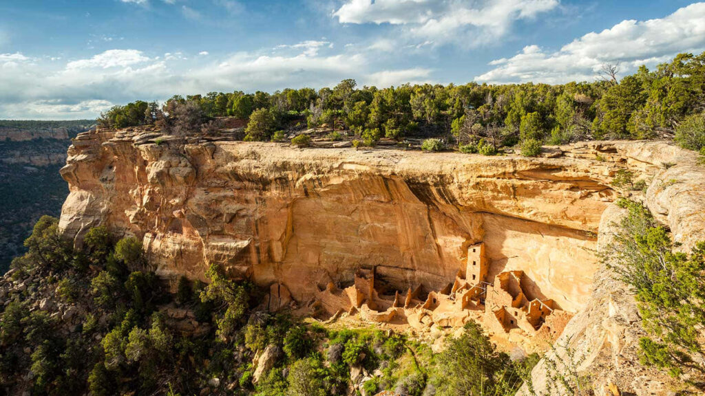 Cliff Palace Mesa Verde National Park Colorado with sandstone cliffs and lush green forest wallpaper