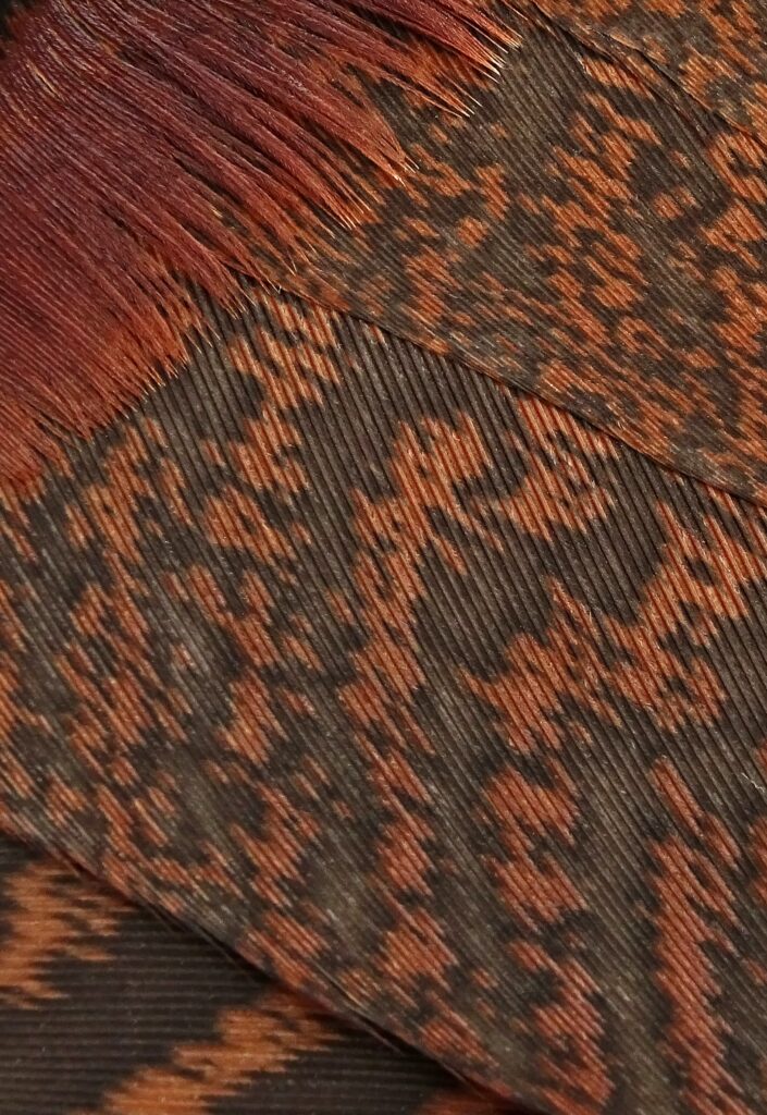 Textured Brown Feather Wallpaper: Intricate Macro Patterns Background
