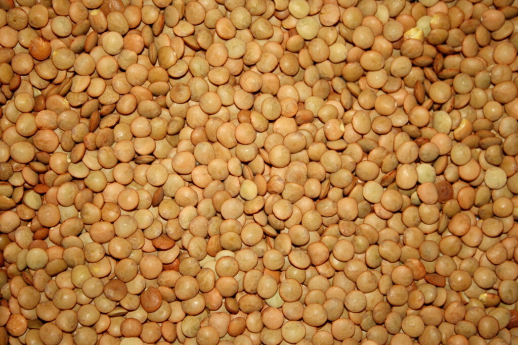 Close-Up Brown Lentils Wallpaper: Nutrient-Rich Earthy Texture