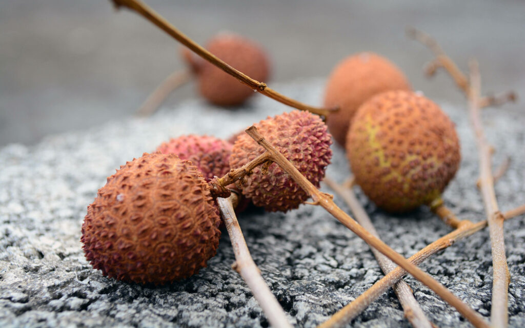 Brown Lychee Fruits with Textured Skin: Close-Up Wallpaper Background