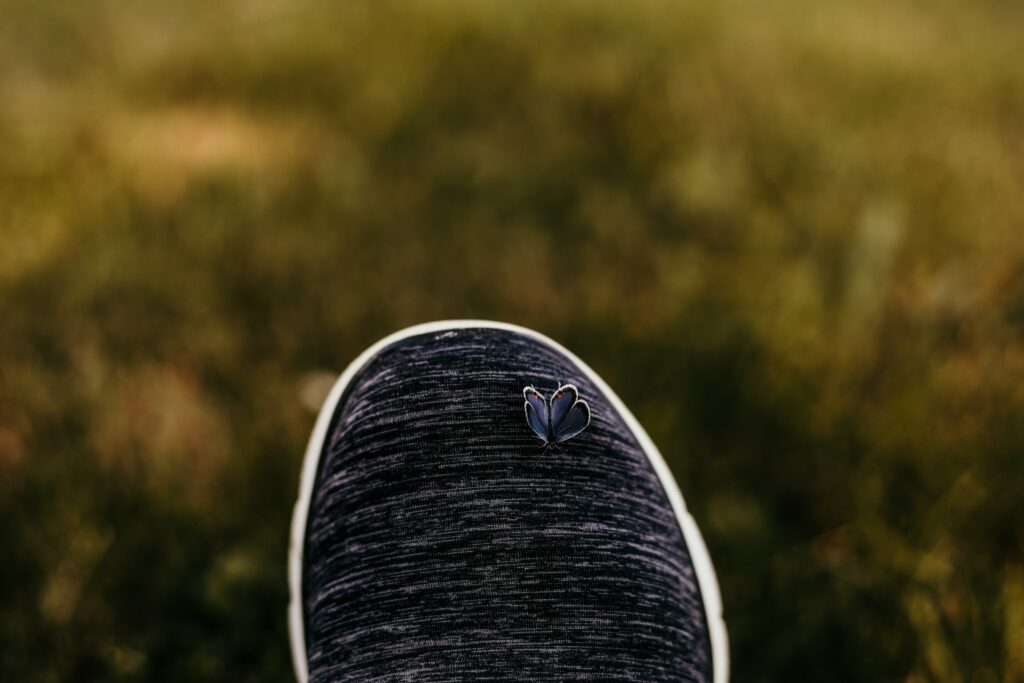 Butterfly on Textured Shoe: Close-Up Wallpaper Background