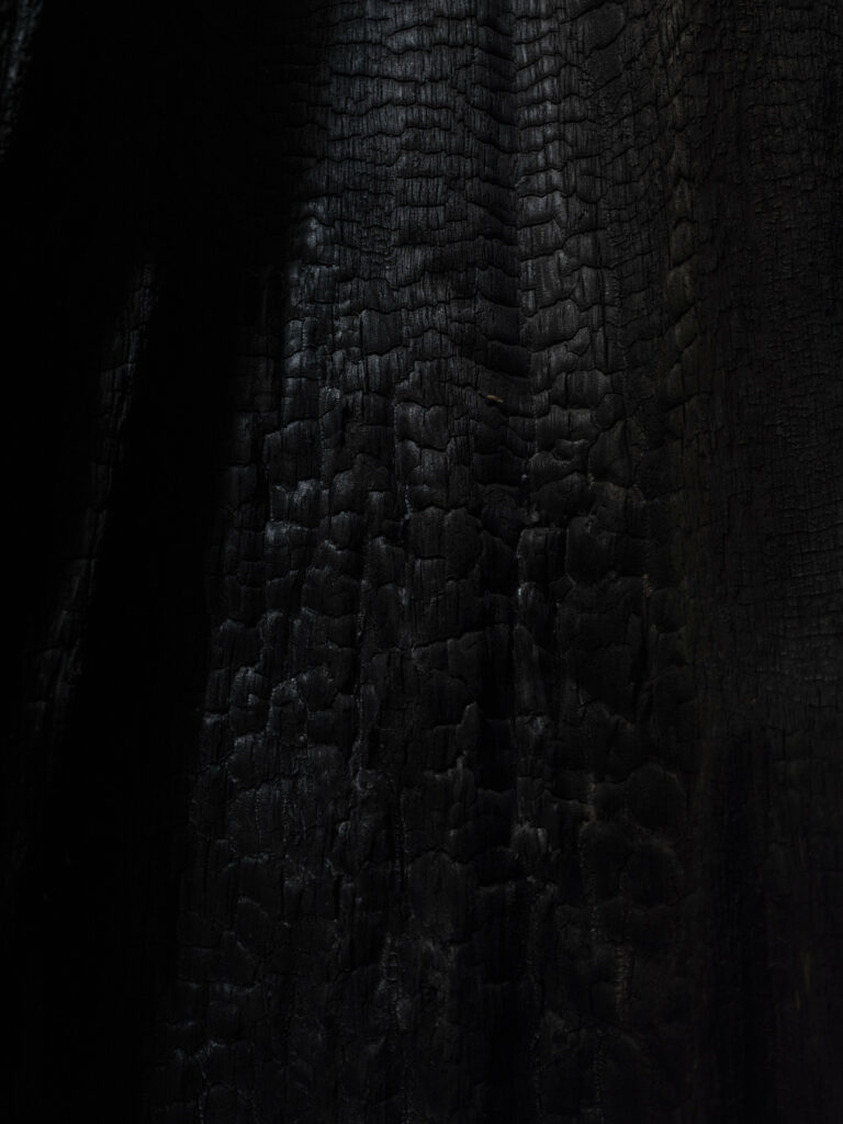 Close-Up Charred Wood Wallpaper: Intricate Texture & Dramatic Black Tones