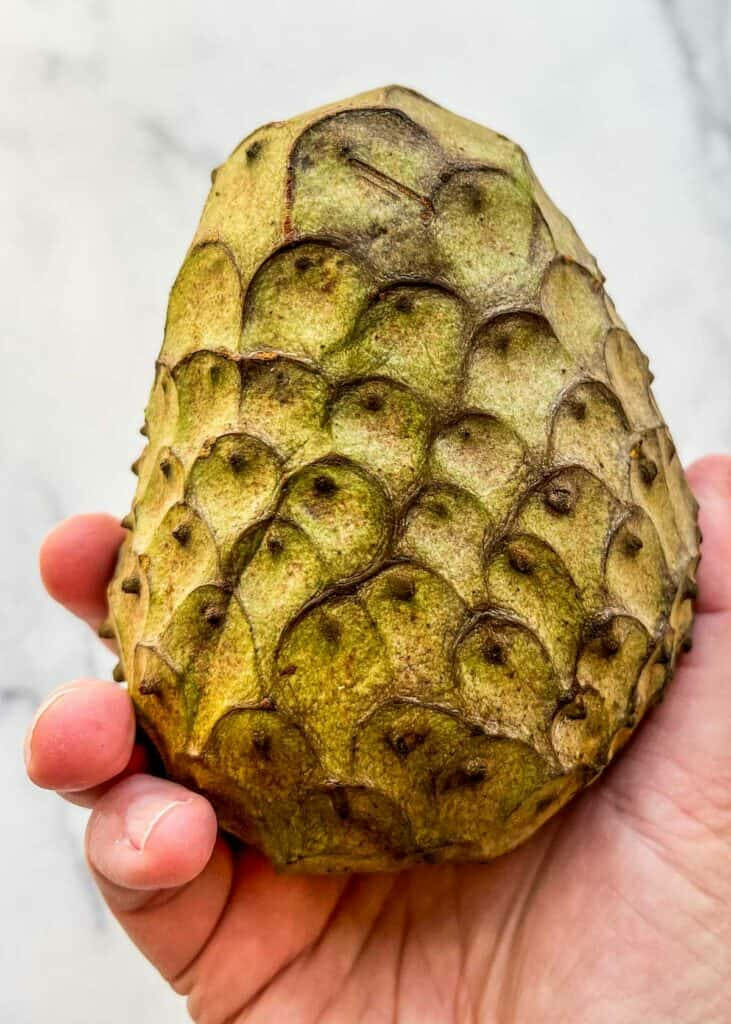 Close-up of hand holding ripe green cherimoya fruit with textured skin on soft background Wallpaper