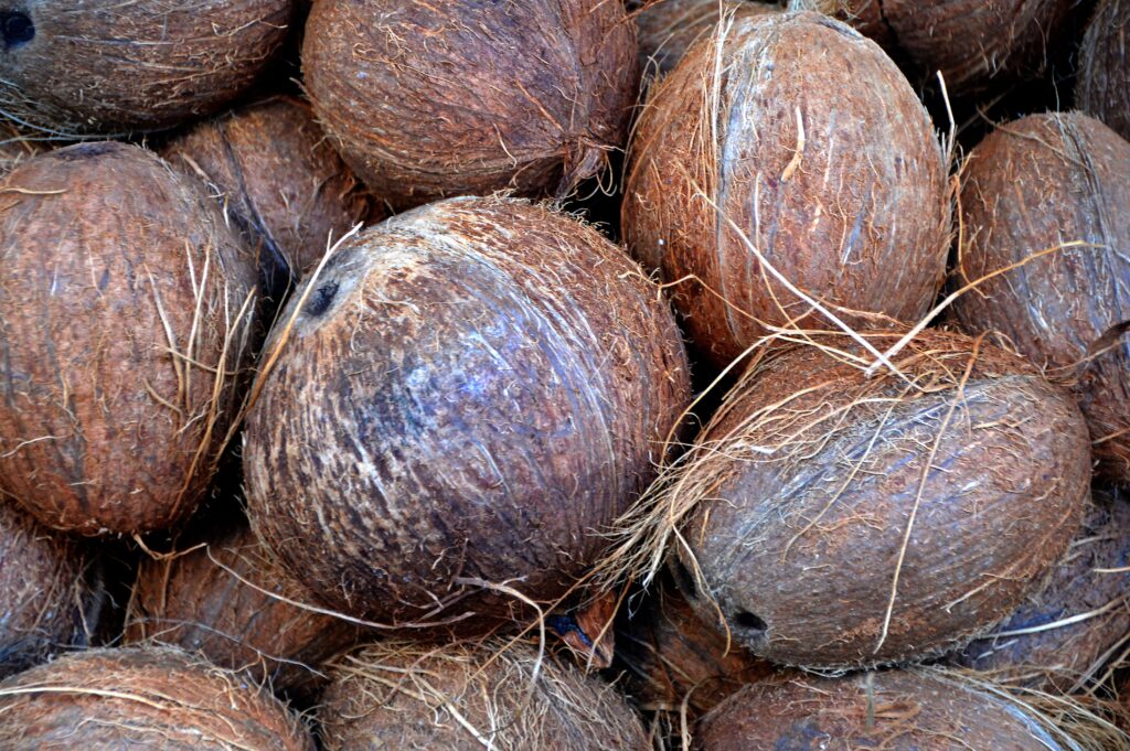 Close-Up Fresh Coconuts Wallpaper: Natural Texture Background