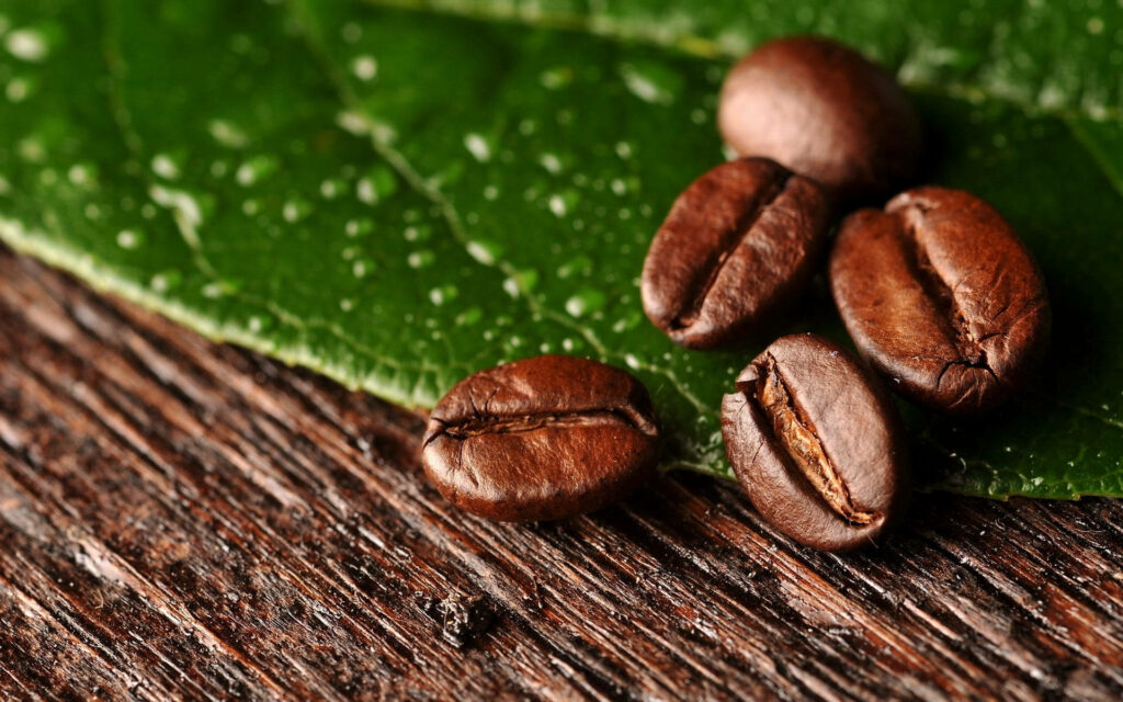 Close-up of coffee beans on green leaf over rustic wood background natural earthy texture Wallpaper