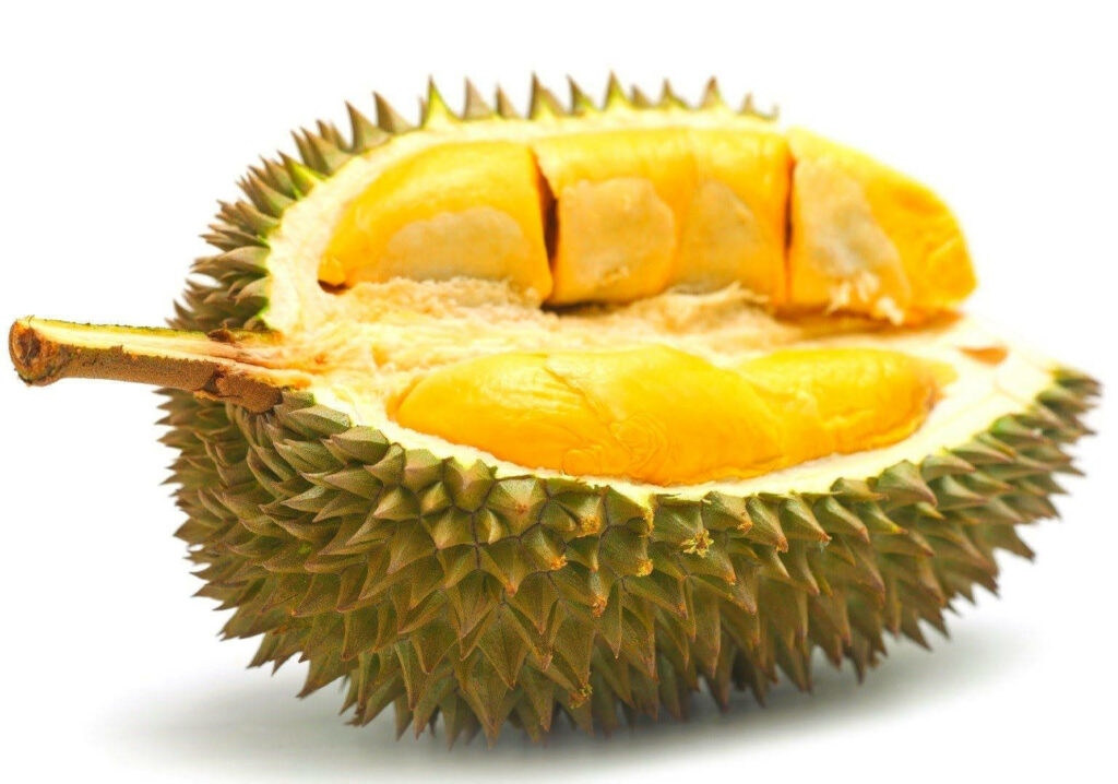 Ripe Durian Close-Up Wallpaper: Golden Flesh & Spiky Shell Background