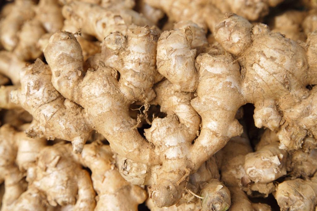 Close up of fresh raw ginger roots with knobby texture and natural beige tones in soft light Wallpaper