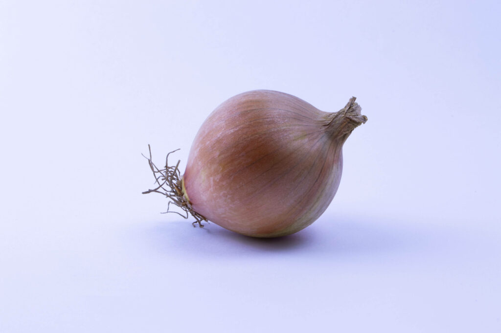 Fresh Onion Close-Up Wallpaper: Natural Textures & Earthy Tones
